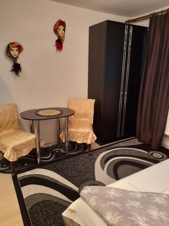 Casa Ioana Villa Haţeg Екстериор снимка
