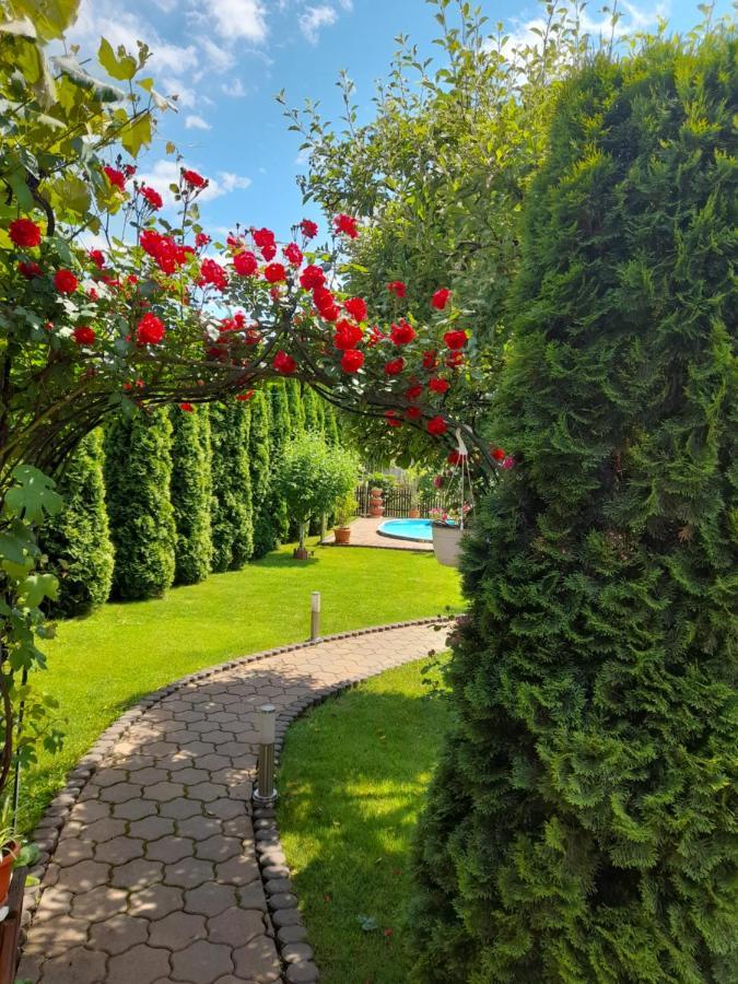 Casa Ioana Villa Haţeg Екстериор снимка