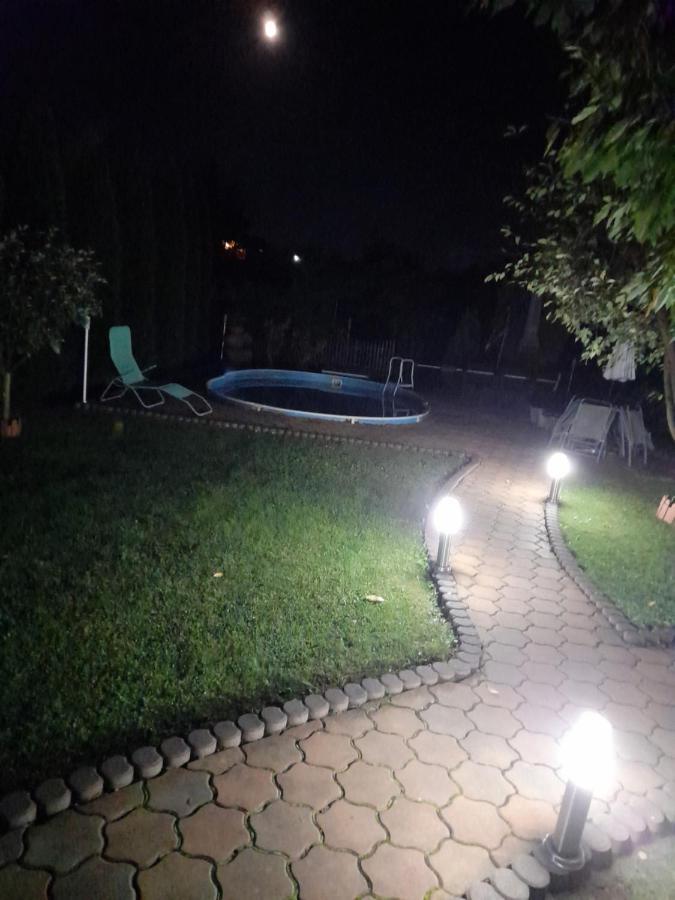 Casa Ioana Villa Haţeg Екстериор снимка