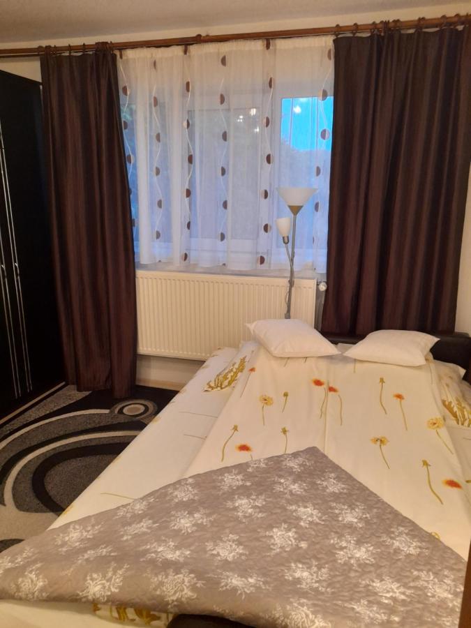 Casa Ioana Villa Haţeg Екстериор снимка