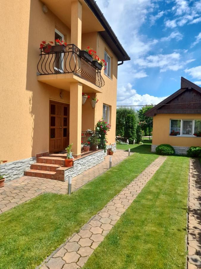 Casa Ioana Villa Haţeg Екстериор снимка