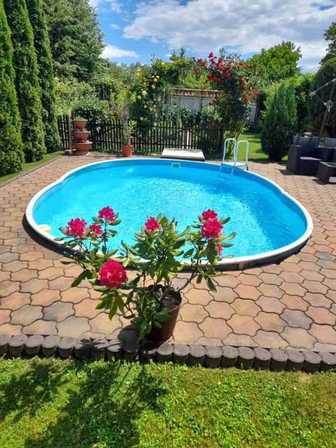 Casa Ioana Villa Haţeg Екстериор снимка