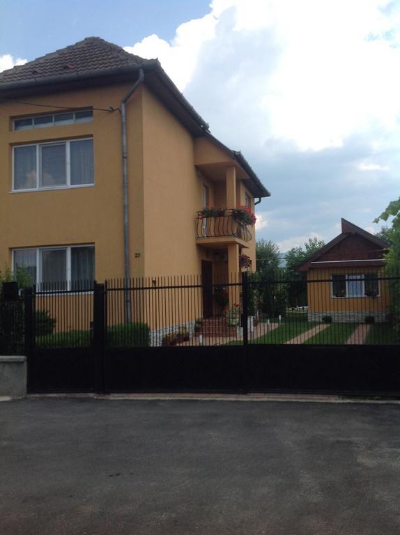 Casa Ioana Villa Haţeg Стая снимка